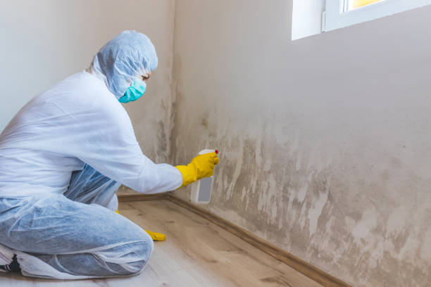 Licensed Commercial Mold Remediation service in Fort Myers Beach, FL - WQB Mold Removal