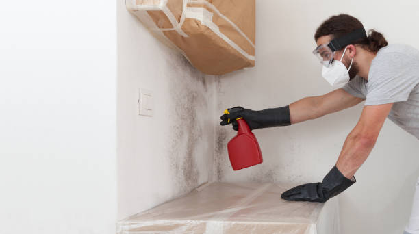 Professional Commercial Mold Remediation technician working in Fort Myers Beach, FL